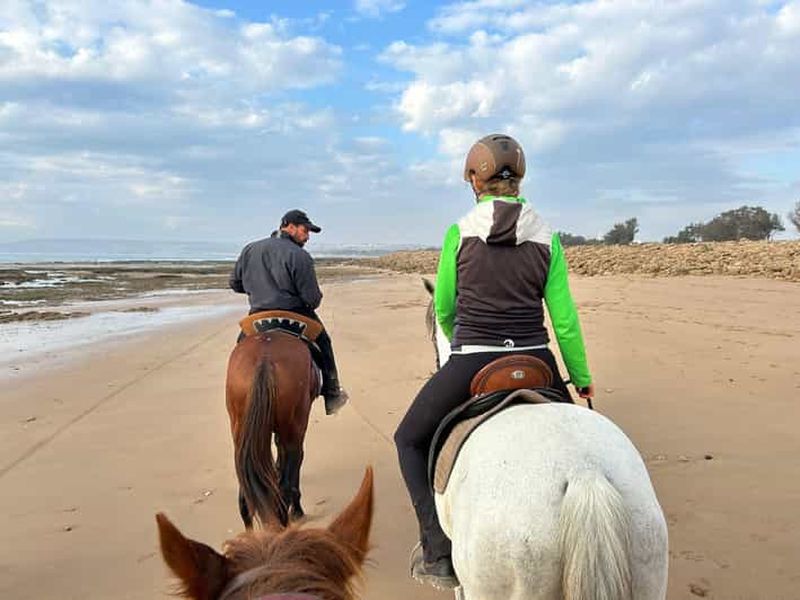 Billet Essaouira : promenade à cheval avec pause thé