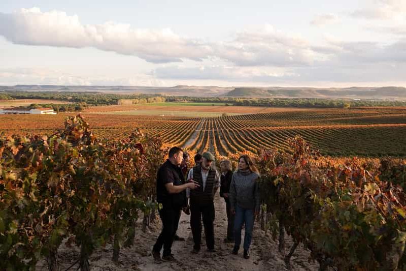 Billet Ribera del Duero : expérience, vignoble et 4x4 de montagne, apéritif et dégustation.