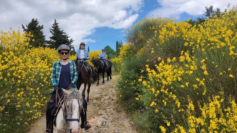 Billet Excursion à cheval d'une demi-journée en Toscane pour débutants