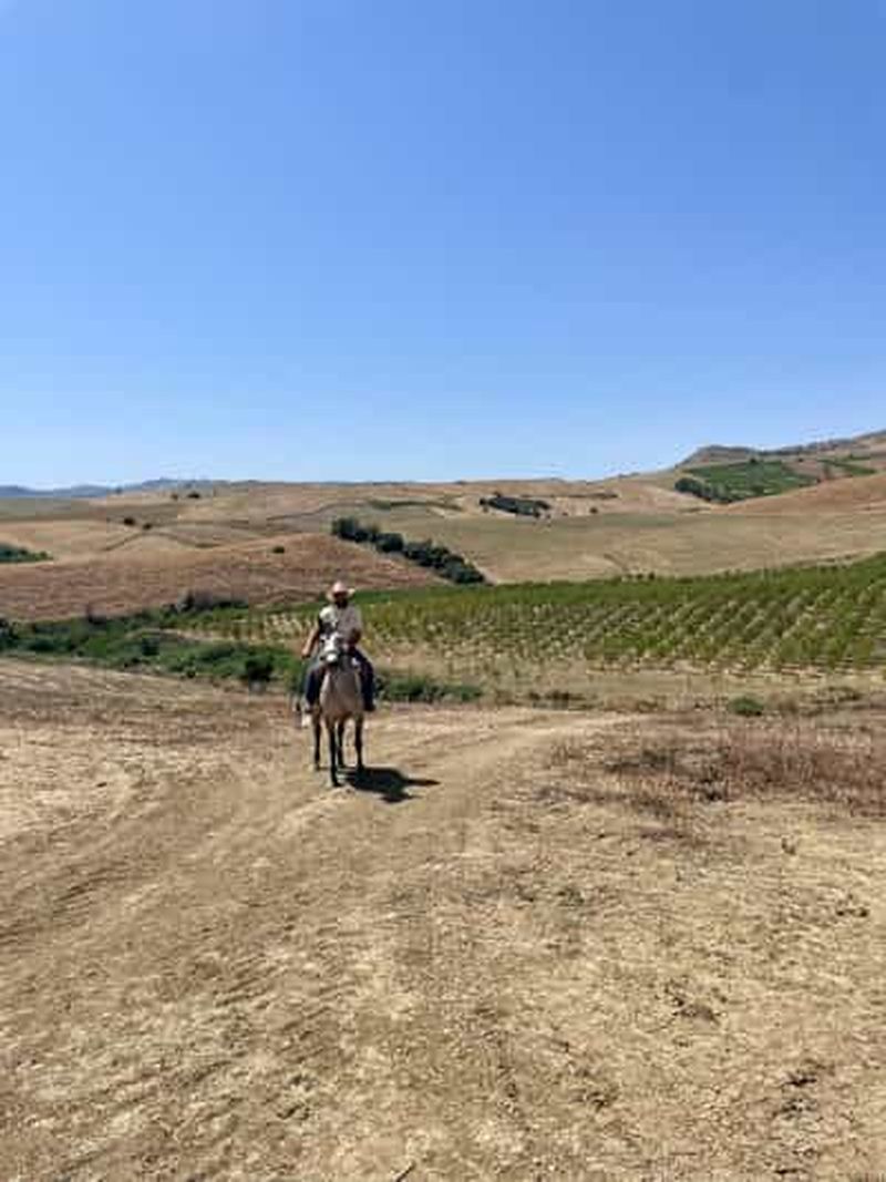 Billet Enna, Sicile : Promenade à cheval sur les sentiers de l'arrière-pays