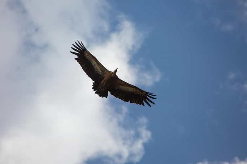 Billet Krk : excursion dans la grotte des pirates avec chasse au trésor et baignade