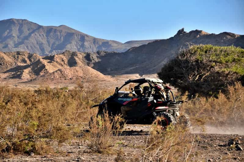 Billet Excursion en buggy à Boa Vista : aventure dans la vallée de la Mort (2 heures)