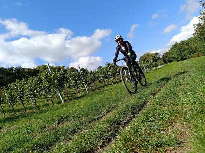 Billet Vienne : visite privée à vélo sur gravier, châteaux et vin