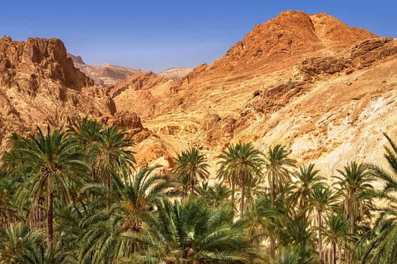 Billet Au départ d'Agadir ou de Taghazout : Circuit de la vallée du Paradis dans l'Atlas naturel