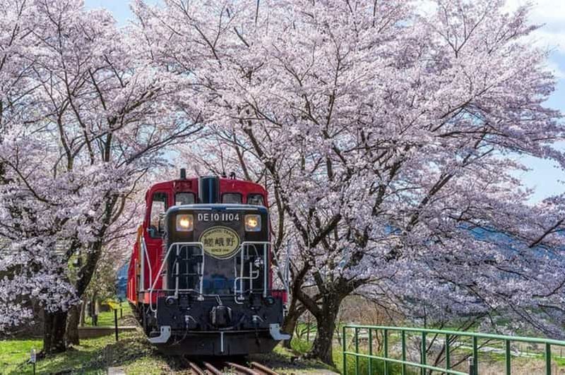 Billet Kyoto : croisière sur la rivière Hozugawa et train romantique de Sagano