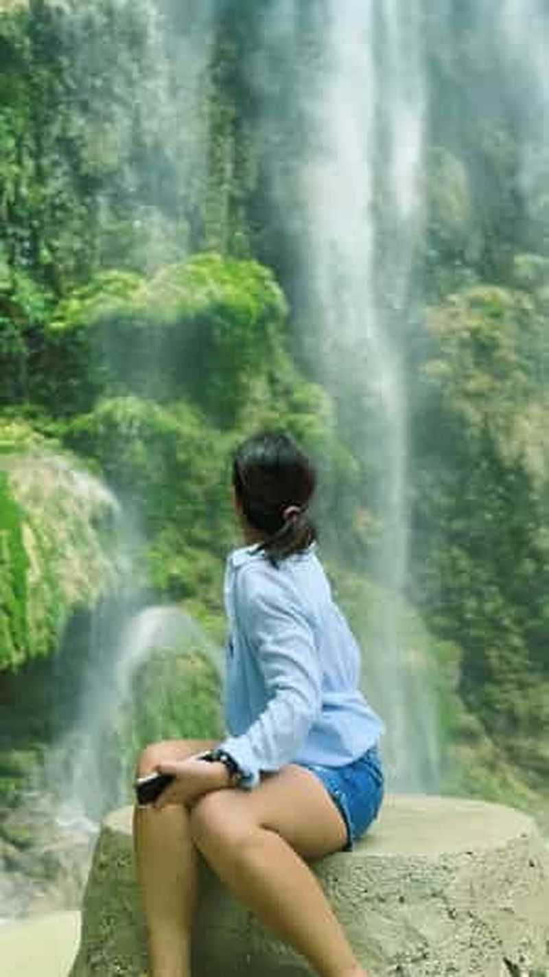 Billet Oslob : Observation des requins-baleines, chutes de Tumalog et île de Sumilon
