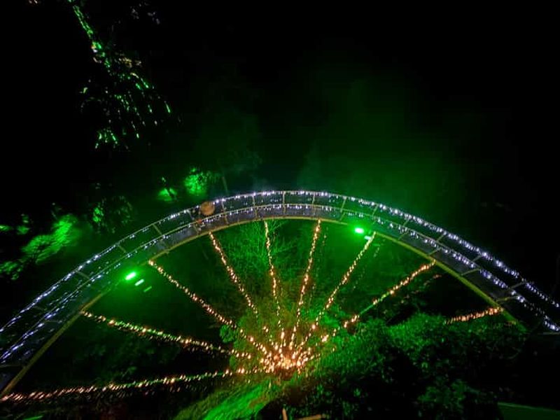 Billet CANYON LIGHTS + pont suspendu de Capilano/petit groupe/VOITURE