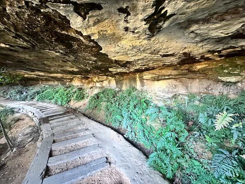 Billet Montagnes Bleues : Randonnée Guidée Overcliff-Undercliff