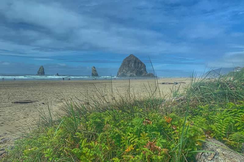 Billet Excursion d'une journée sur la côte de l'Oregon : Cannon Beach et Haystack Rock