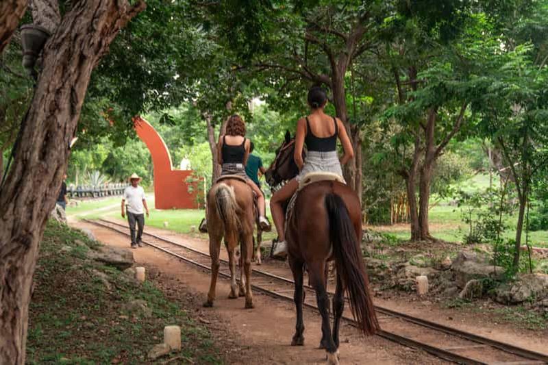 Billet Mérida : excursion dans la jungle et les cénotes avec balade à cheval et déjeuner