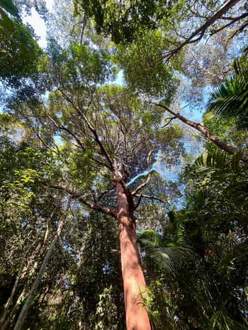 Billet Randonnée ou excursion en bateau : parc national de Penang et jardin
