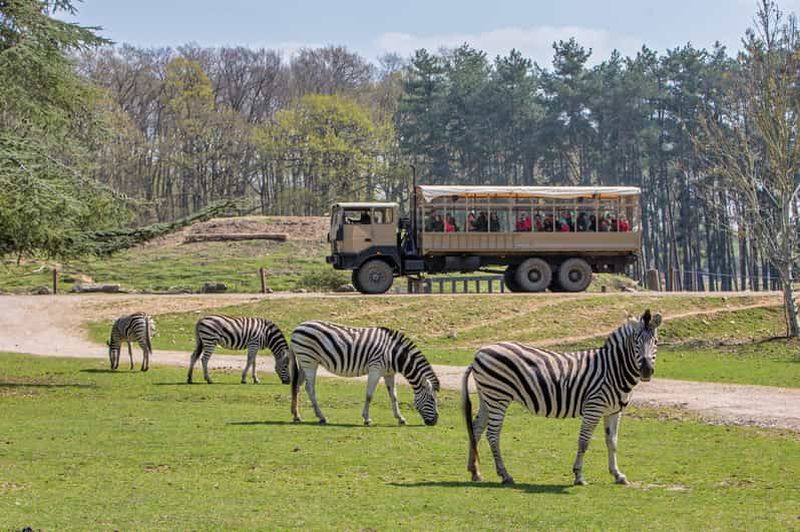 Billet Au départ de Paris : Safari au parc de Thoiry et visite du château