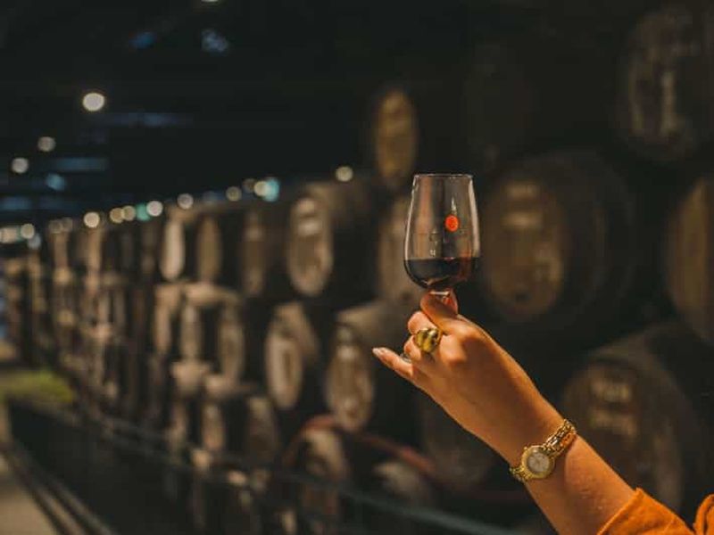 Billet Porto : visite des caves Taylor's et du musée WOW