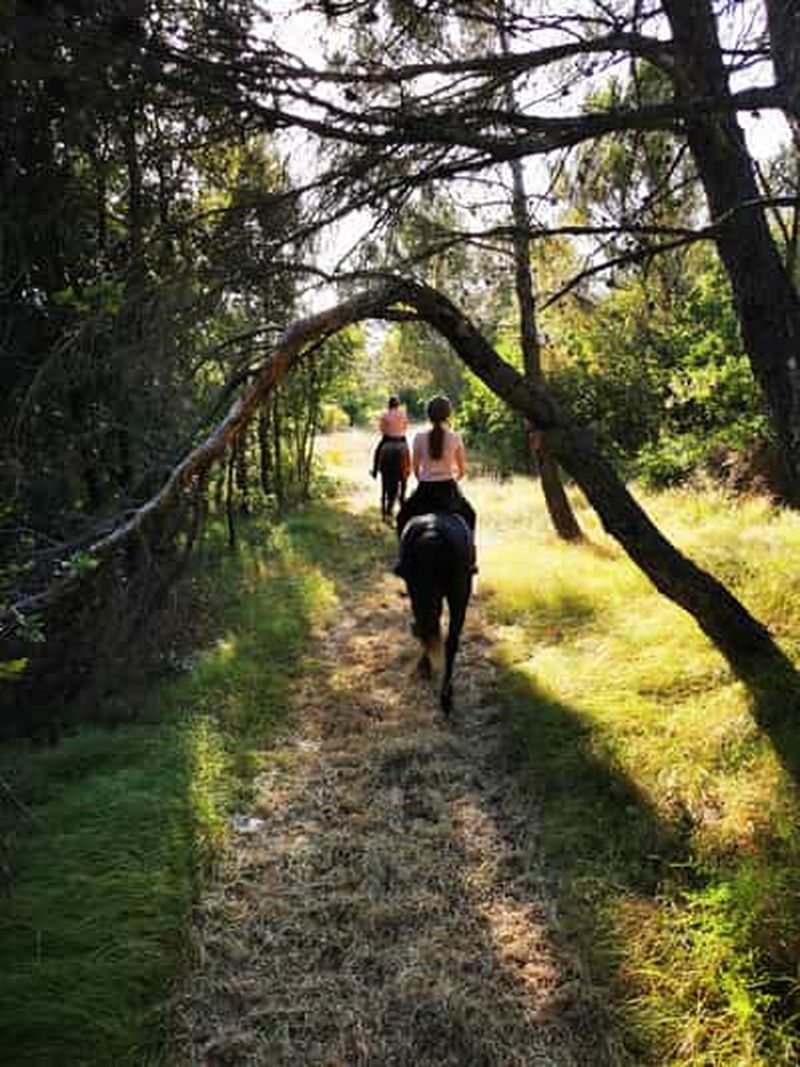 Billet Istrie : visite guidée à cheval