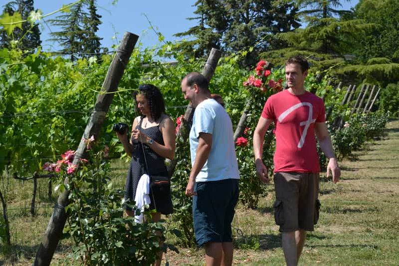Billet Dégustation de vin avec huile d'olive et salami