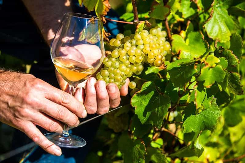 Billet Nice : Visite du village provençal avec dégustation de vins et de produits du terroir