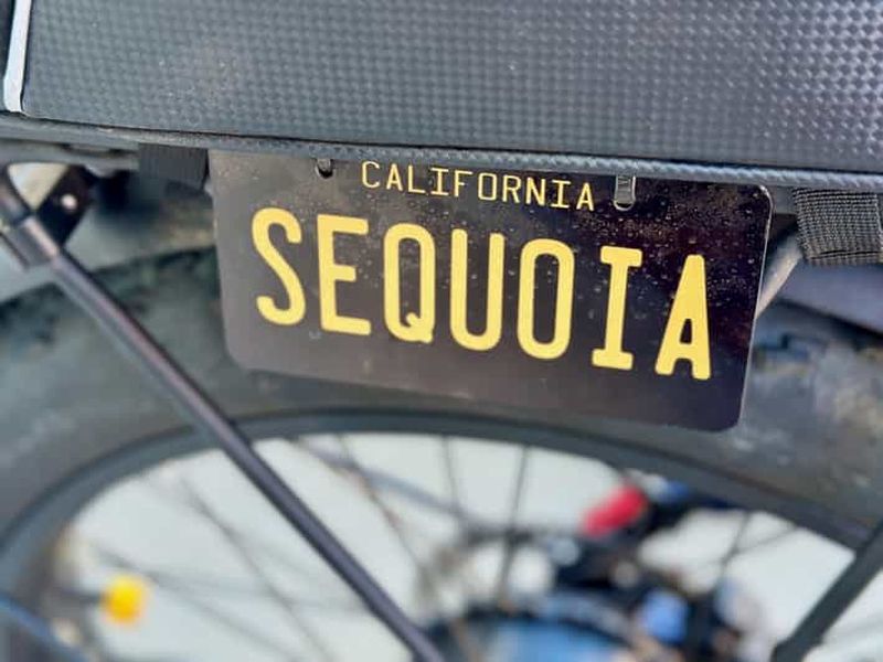 Billet Griffith Park : Wild Backside visite en petit groupe de 3h à vélo électrique