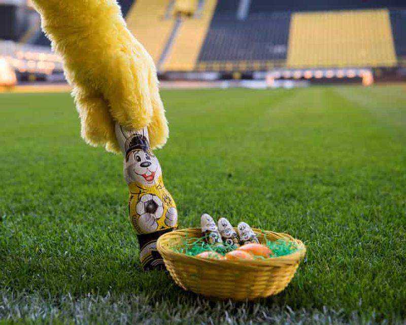 Billet SIGNAL IDUNA PARK : Expérience de Pâques BVB 2026