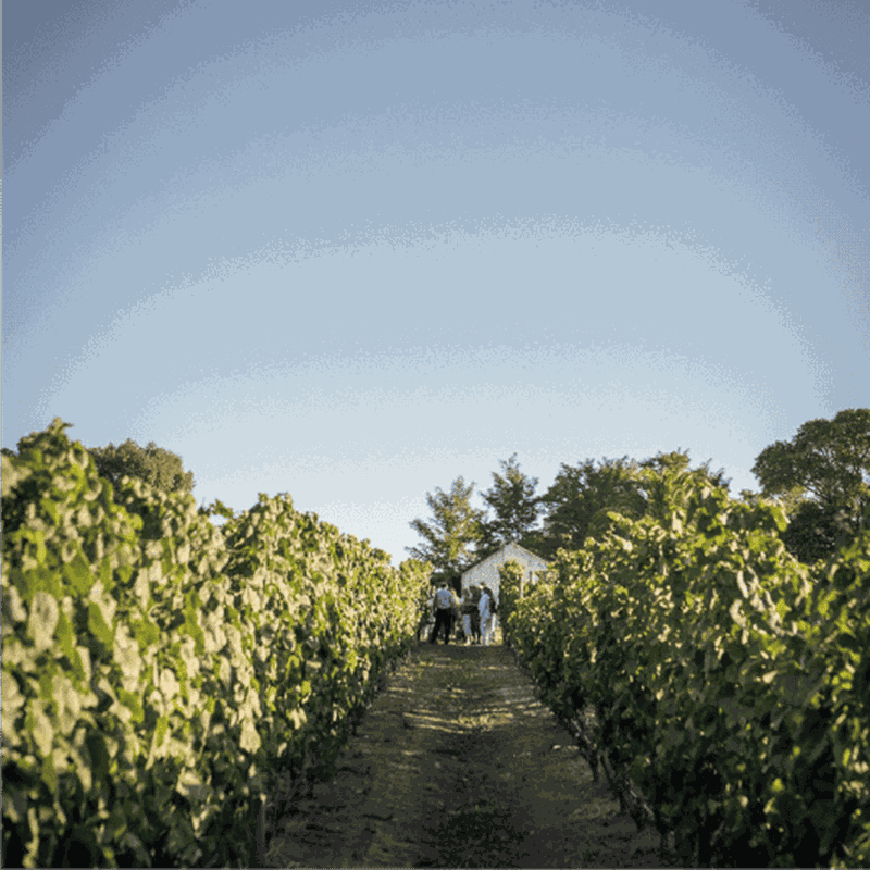 Billet Montevideo : Croisière commentée pour les passagers de la croisière