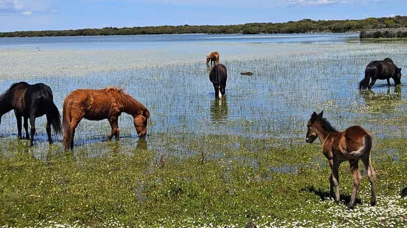 Billet Au départ de Tuili : trek dans le parc de la Giara
