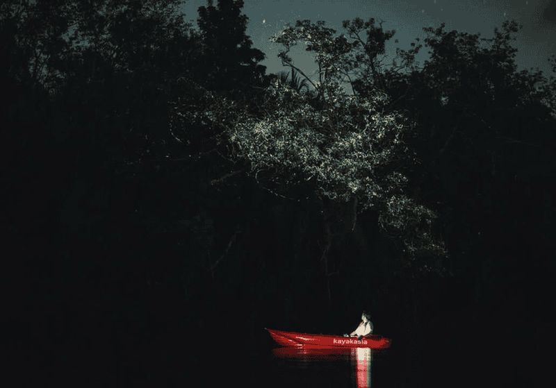 Billet Bohol : excursion écologique en kayak sur la rivière Abatan à la découverte des lucioles