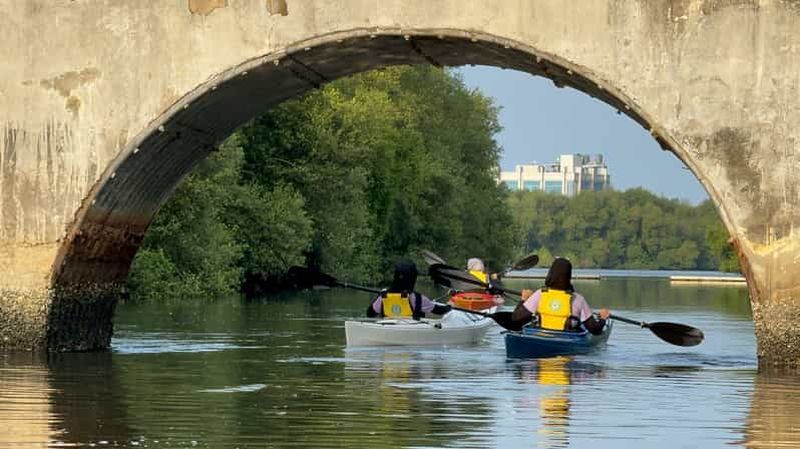 Billet Canoë-kayak dans la mangrove à Jakarta