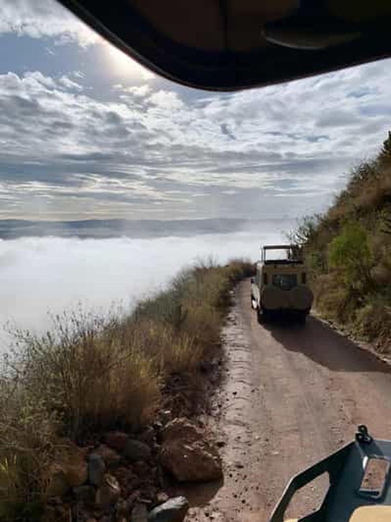 Billet Safari de luxe de 7 jours dans le Serengeti et aventure en montgolfière