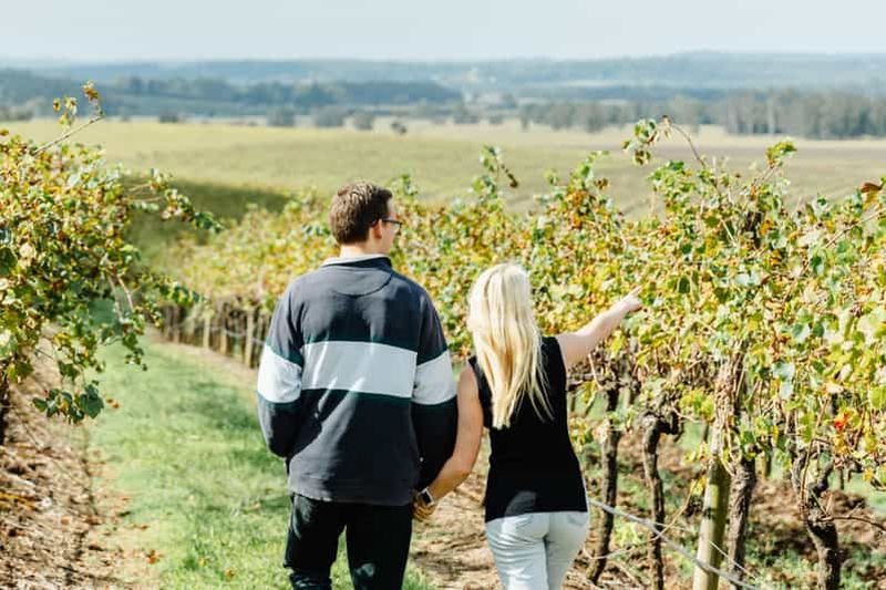 Billet Visite privée des vins de la vallée de Hunter au départ de Newcastle