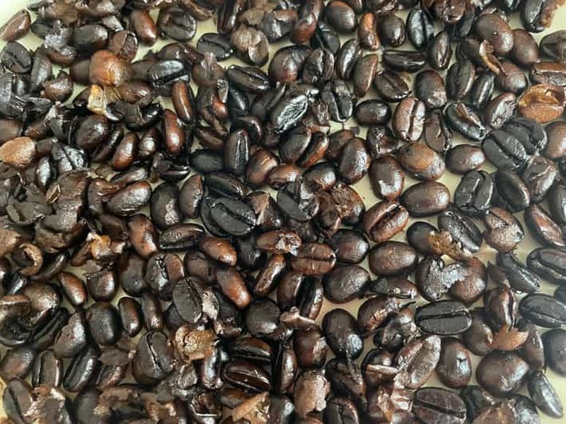 Billet Saitama : expérience de torréfaction de café et visite du sanctuaire de Hikawa