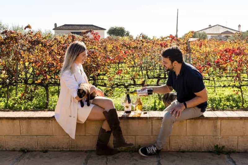 Billet Malaga : visite de vignoble bio avec 6 vins, tapas et transfert