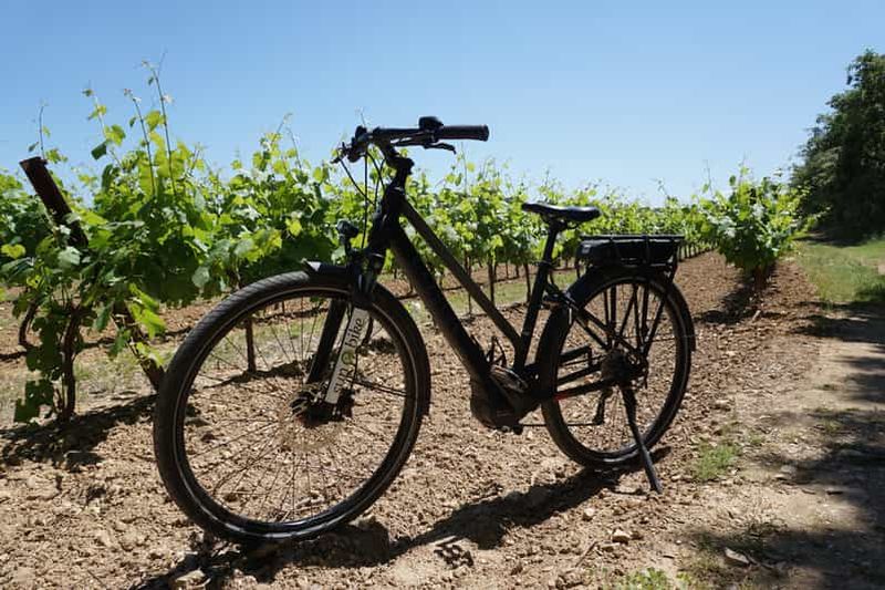 Billet Le vin de Provence en e-bike... A ne pas manquer !