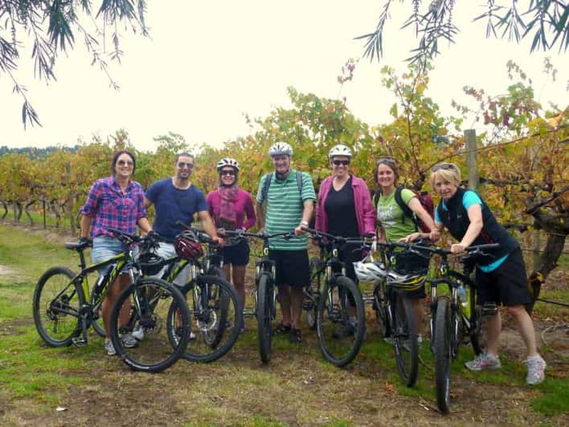 Billet McLaren Vale : visite œnologique guidée en vélo électrique