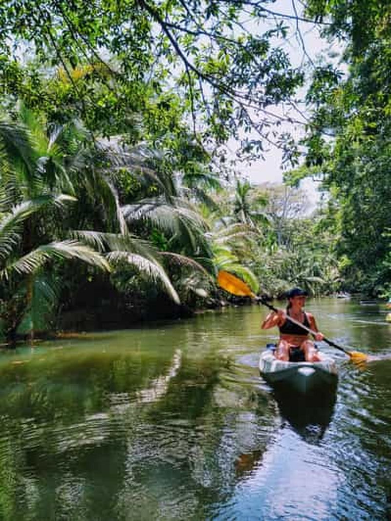 Billet Punta Uva : Kayak et observation des paresseux