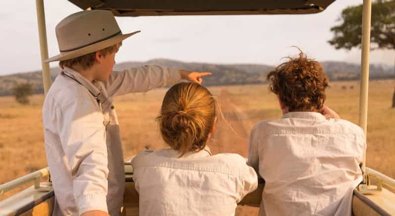 Billet 5 jours de safari en famille en Tanzanie - Meilleur Tours Tanzanie