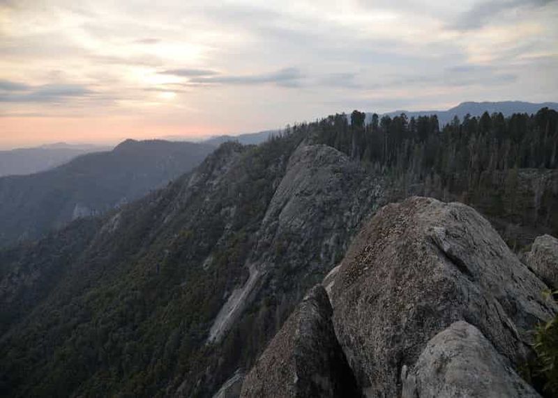 Billet Visite privée d'une journée aux parcs Sequoia et Kings Canyon au départ de Los Angeles