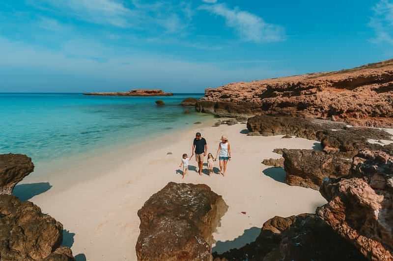 Billet Mascate : snorkeling et kayak avec les tortues à Daymaniyat