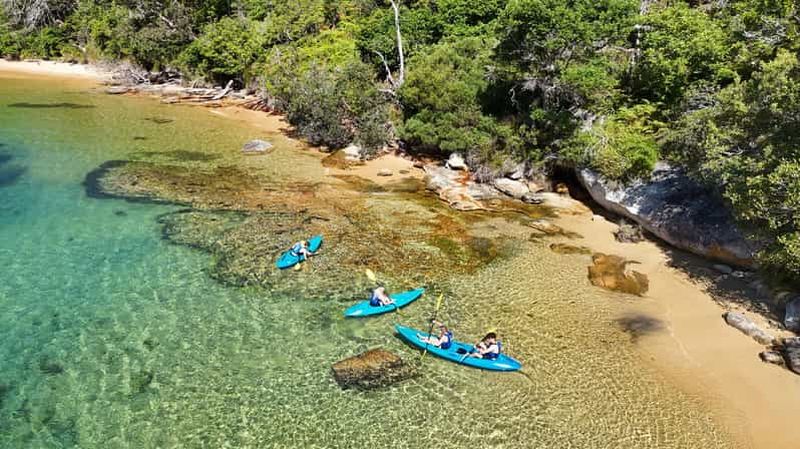 Billet Sydney : Visite guidée en kayak au départ de Manly