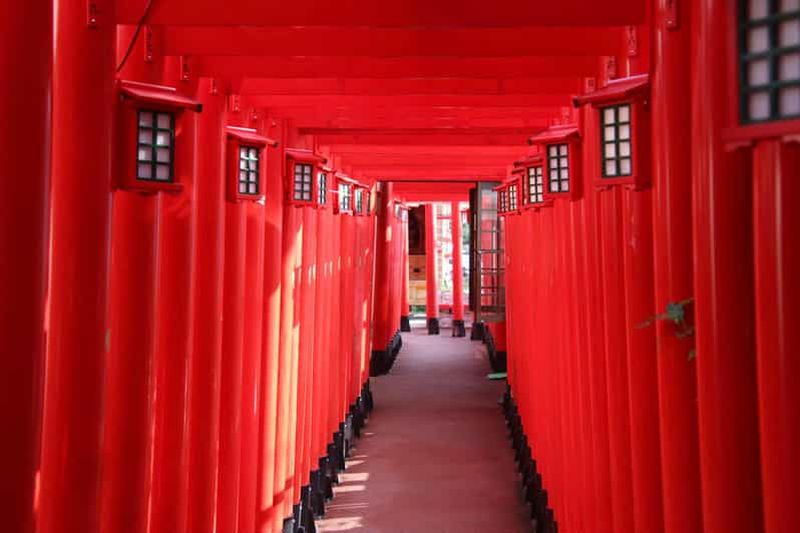 Billet Naha : Visite guidée en E-Bike des 12 temples du Zodiaque