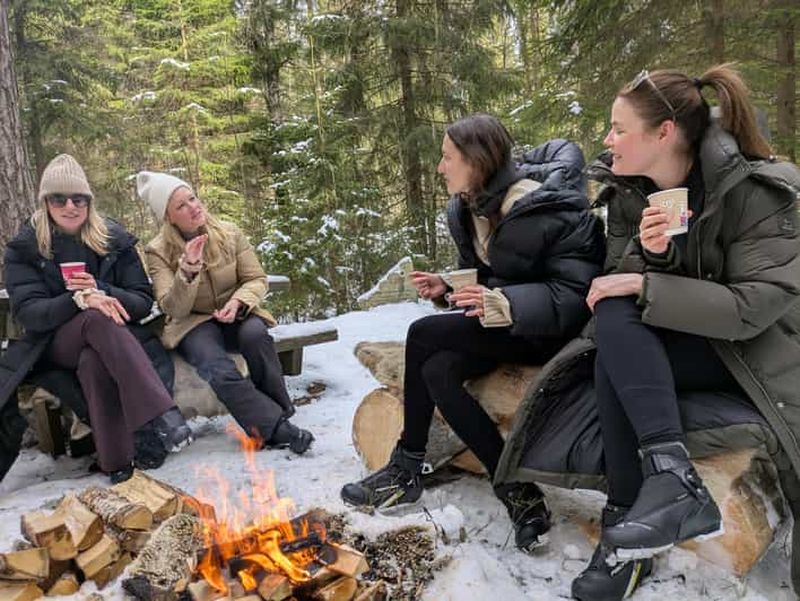 Billet Oslo : excursion de 3 heures en ski de fond avec équipement et guide