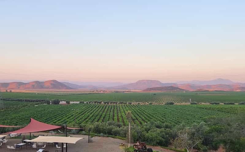 Billet Visite de la Valle de Guadalupe : toutes les dégustations de vin sont incluses