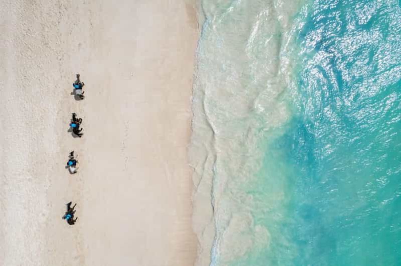 Billet Zanzibar : balade à cheval de 60 minutes