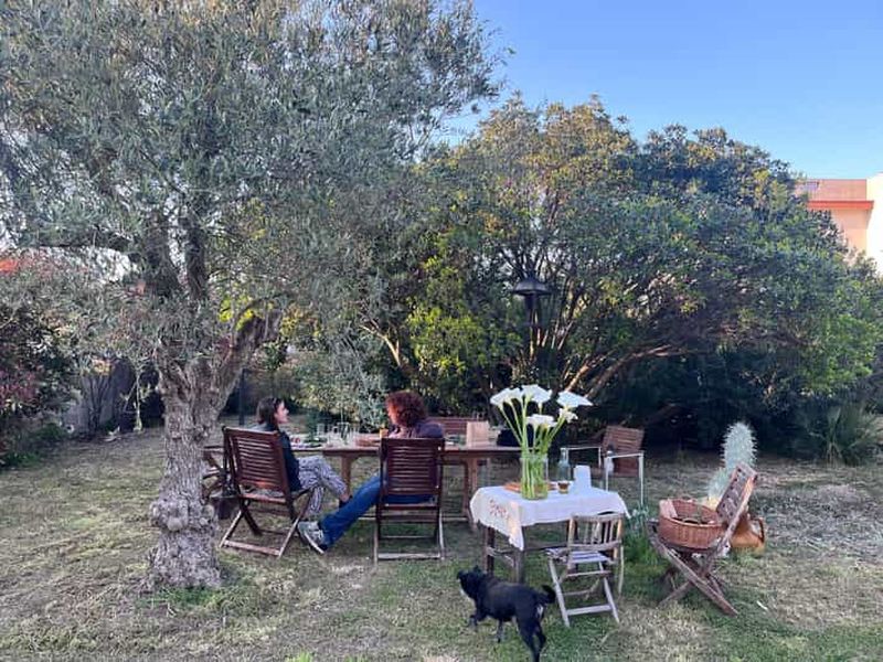 Billet Pouilles : créez des bâtons de smudge/fumigations méditerranéennes : herbes, fleurs, intentions