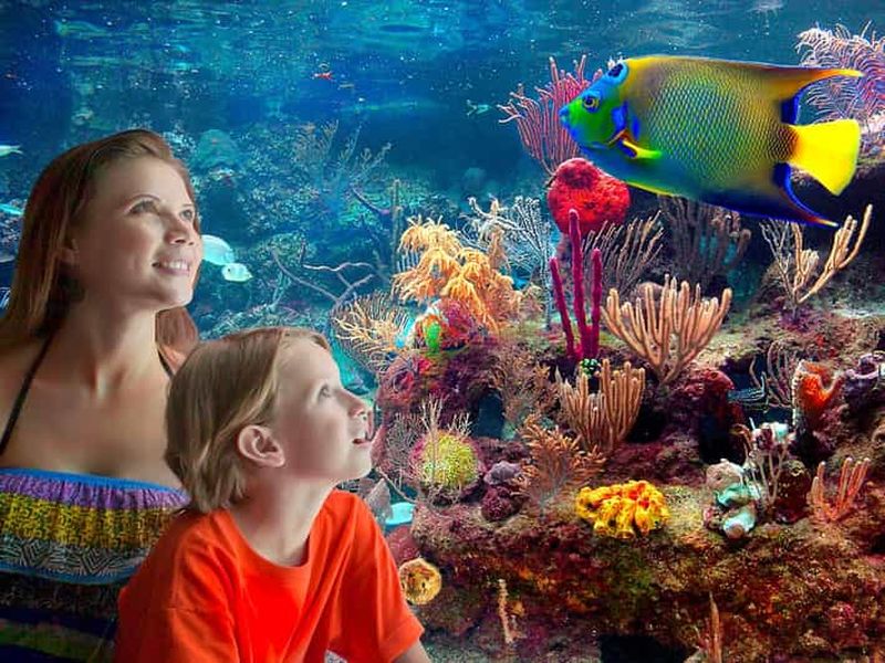 Billet Depuis Playa del Carmen : Combo complet au parc Xcaret !