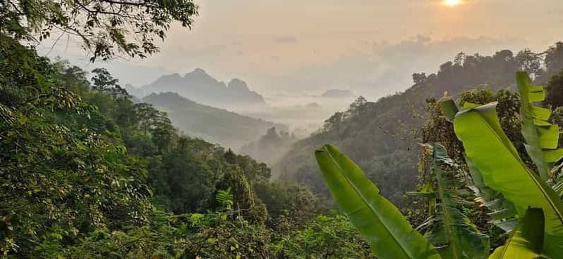 Billet Parc national de Khao Sok : excursion de 3 jours dans la nature et la jungle au lac Cheow Lan