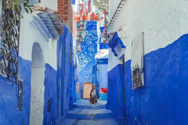 Billet Excursion d'une journée à Chefchaouen depuis Fès (Excursion en groupe partagé)
