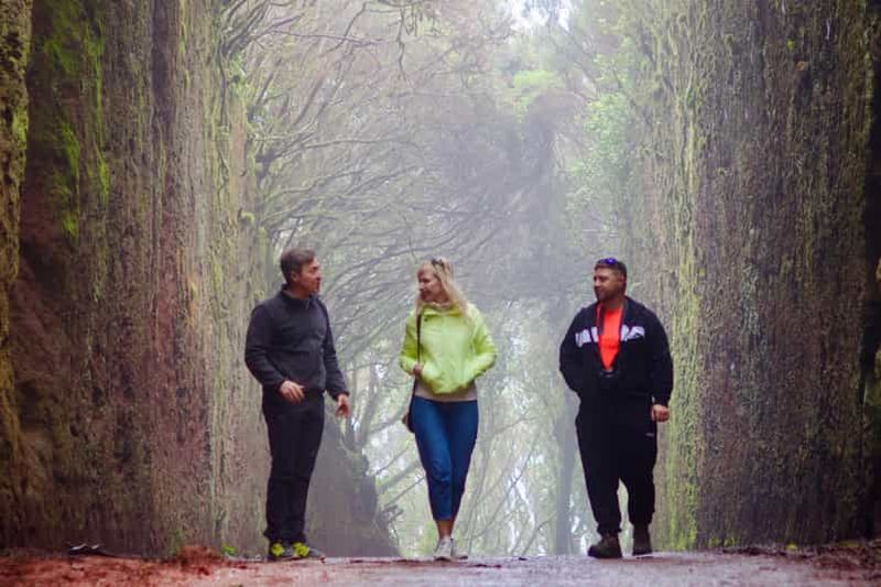 Billet Randonnée à Anaga. Prise en charge GRATUITE.