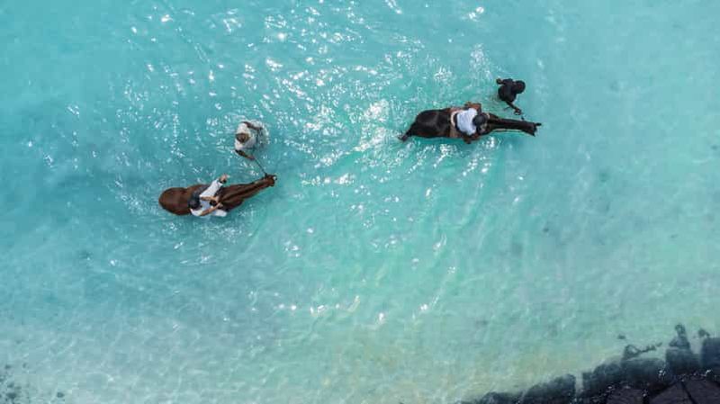 Billet Ile Maurice : Balade à cheval sur la plage