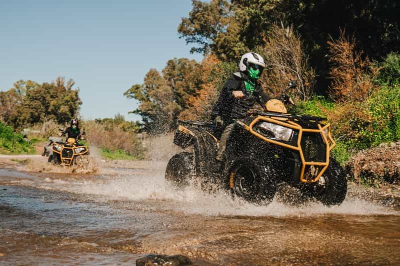 Billet Malaga : circuit tout-terrain de 3 heures en quad biplace à Mijas
