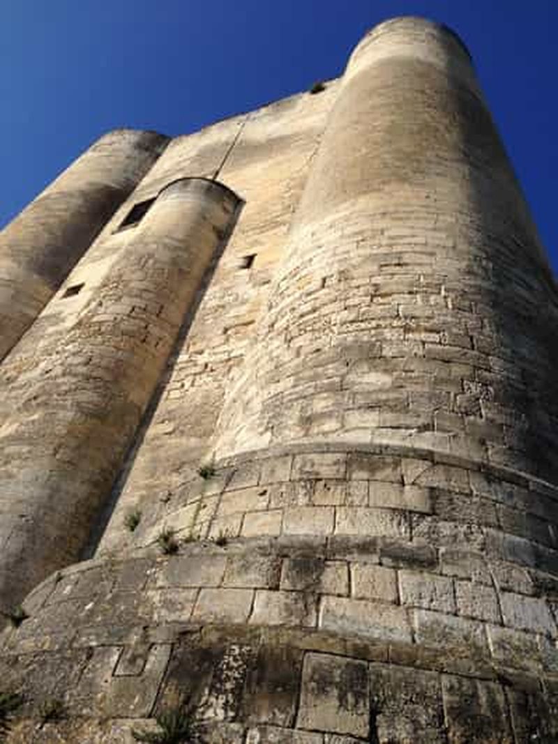 Billet Visite guidée de Niort à vélo, à la porte du Marais poitevin