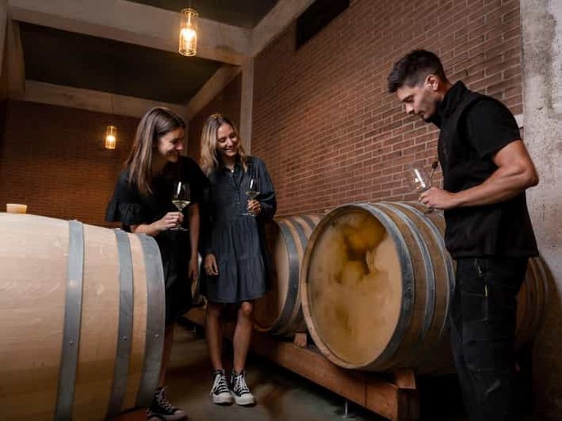 Billet Tramin/Termeno : visite du vignoble et dégustation, J. Hofstätter